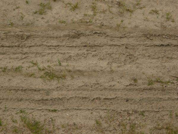 Road texture of loose, beige sand with tire marks and small tufts of green grass.